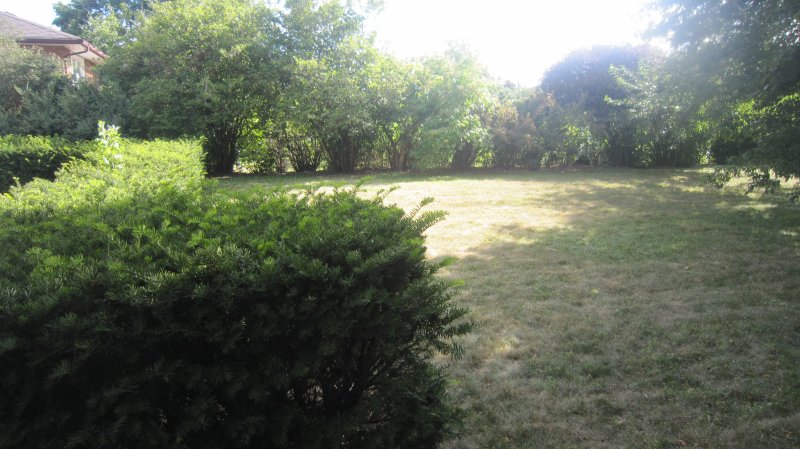 EXCLUSIVE COURT - - CITY OASIS-